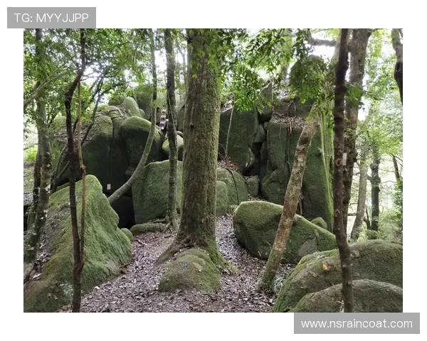9游滚球盘最新玩法详解助你轻松掌握实时投注技巧提升盈利水平